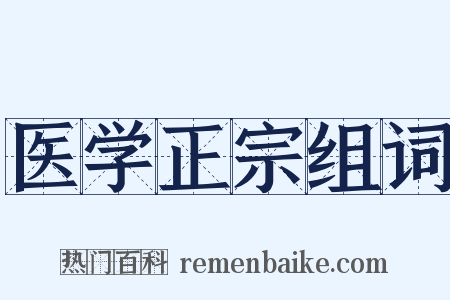 医学正宗组词是什么意思的图片